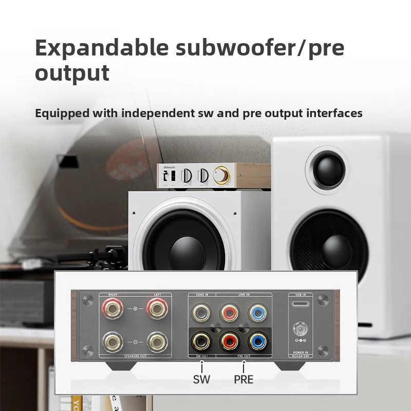 FiiO Horizon Level 1 Amplifier - Audio Music System For Home ulasan dan harga