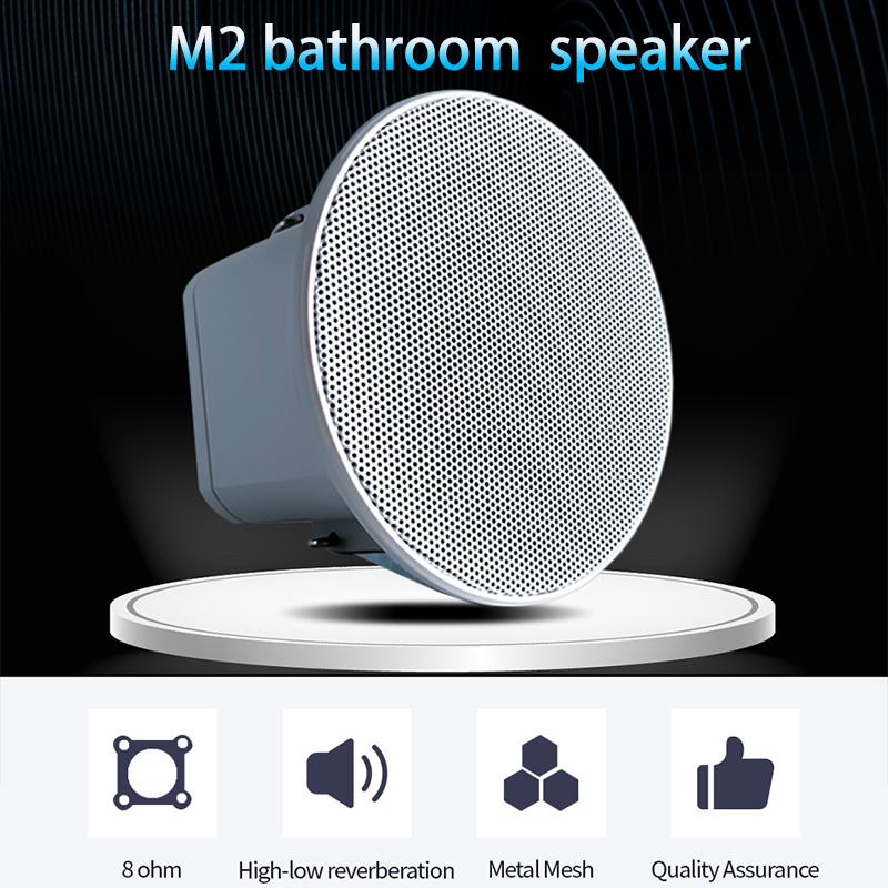 Speaker Langit-langit Mini 2 I - Audio Music System For Home ulasan dan harga